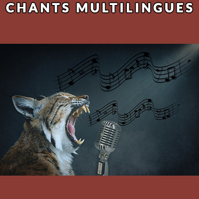 Concerts multilingues de CatsBall